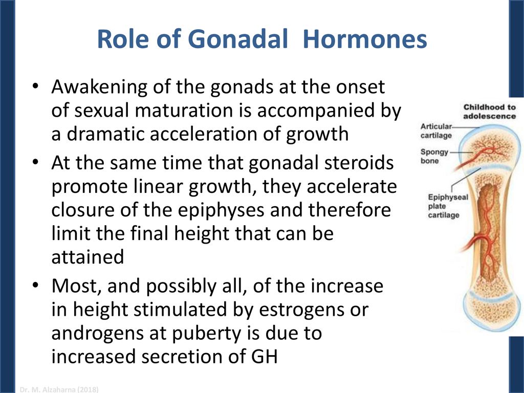 Hormonal Control of Growth Biology Diagrams