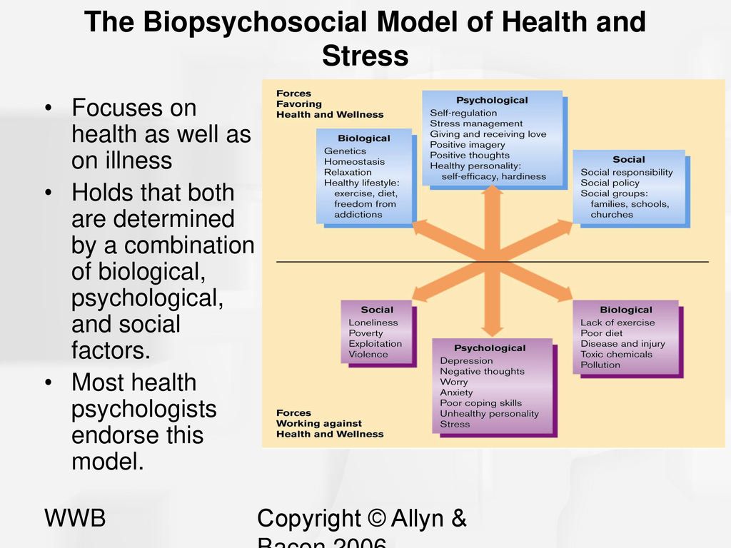Health Psychology Biopsychosocial Model