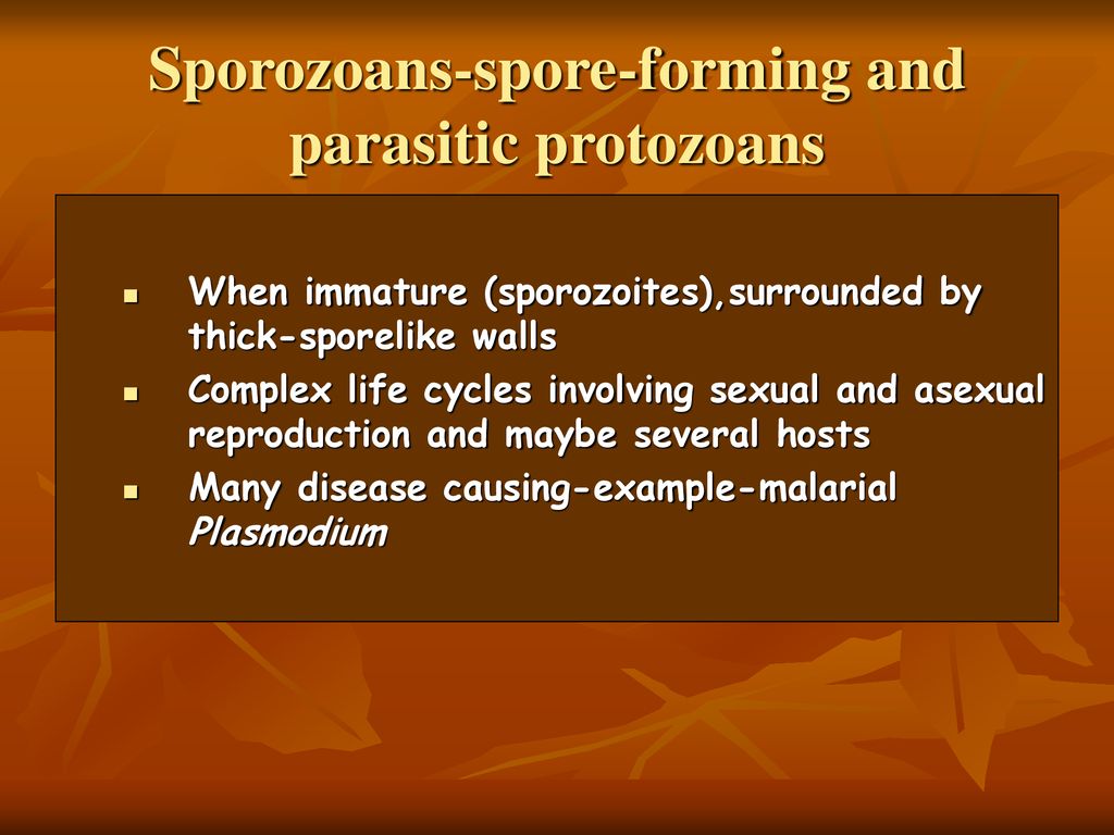 Chapter 20-Protists-notes - ppt download