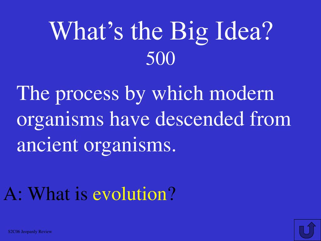 Evolution chapters 15 16 review ppt download