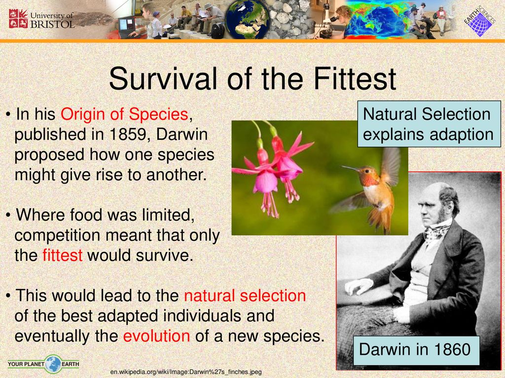 Evolution Presenter notes: Evolution is one of the most important ...