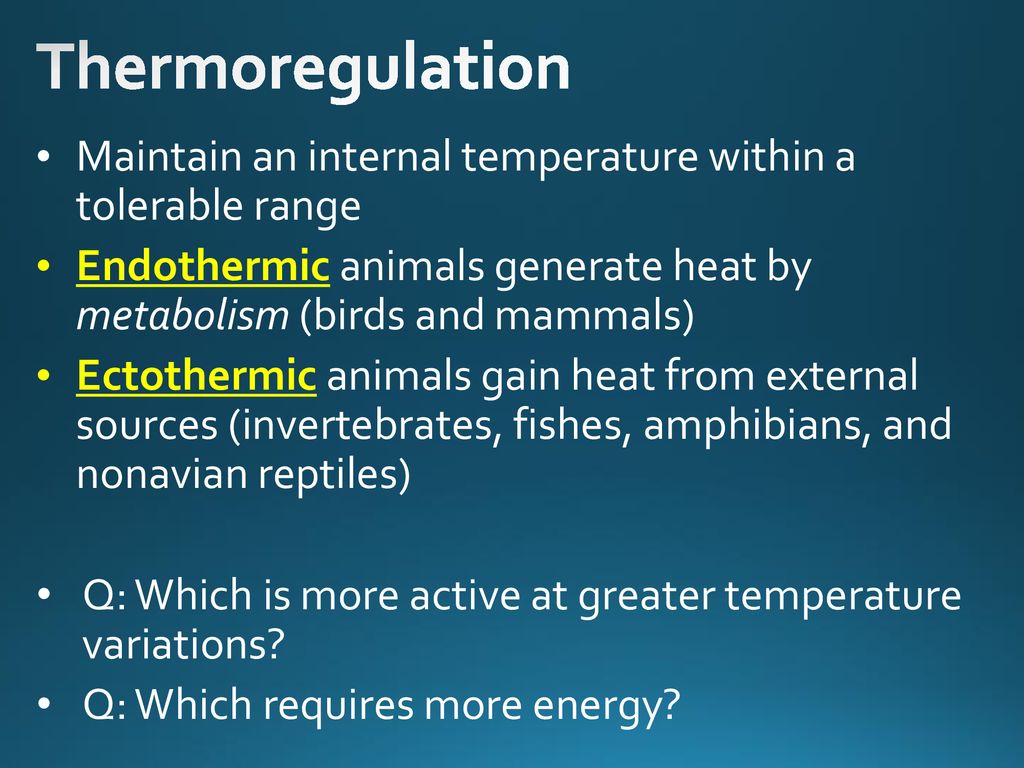 Warm-Up Name as many human body systems as you can remember. List the