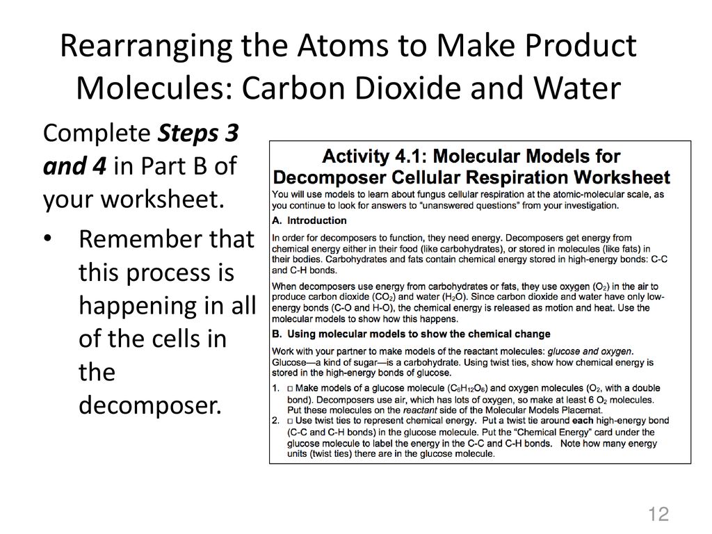 Carbon: Transformations in Matter and Energy ppt download