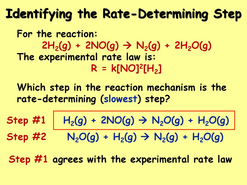 Rate Limiting Steps In A Synthetic Biological System Download