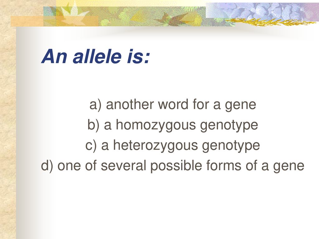 Vocab Notes. ppt download