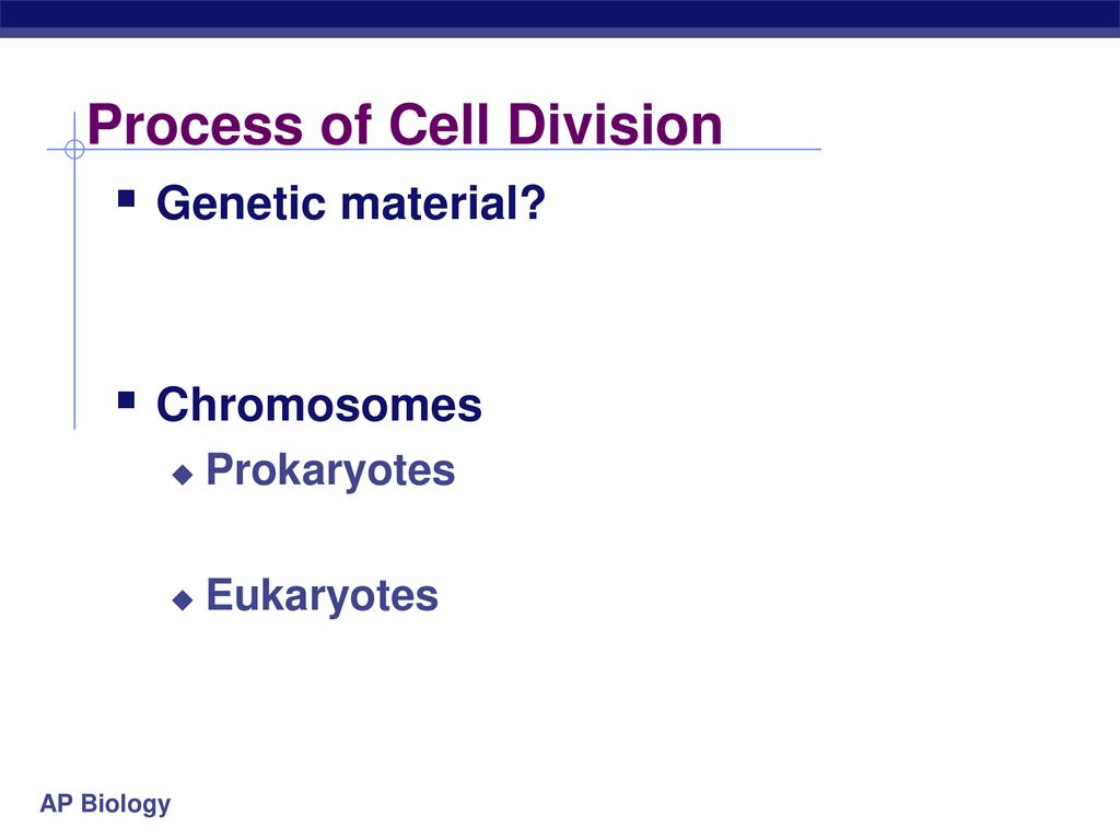 Mitosis Why divide? Biology Diagrams