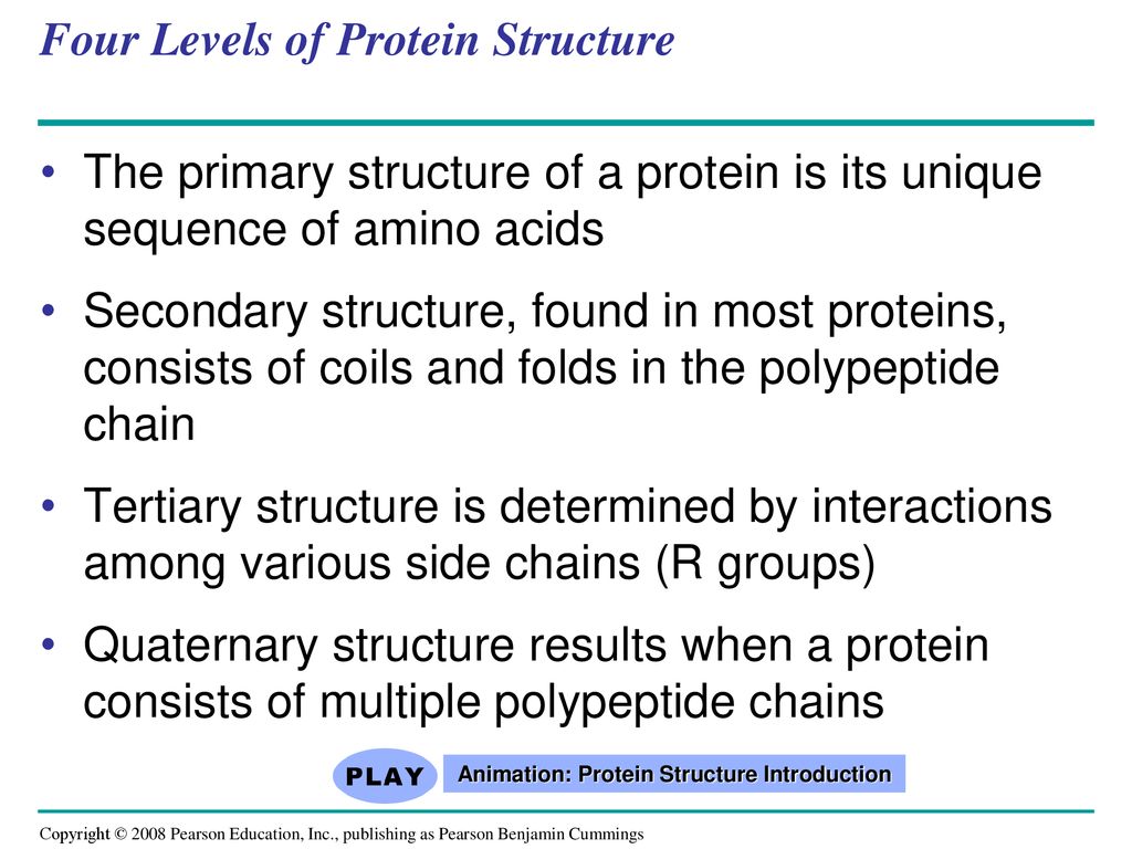 Amino acids are linked by peptide bonds - ppt download