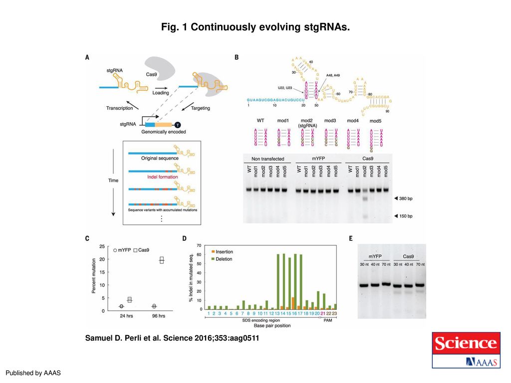 by Samuel D. Perli, Cheryl H. Cui, and Timothy K. Lu - ppt download