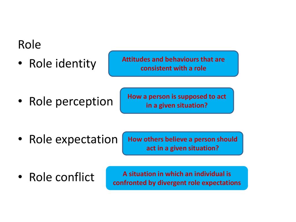 Role Role identity Role perception Role expectation Role conflict
