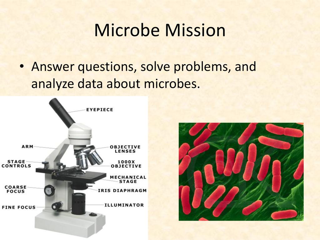 Science Olympiad ppt download