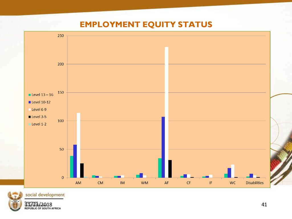 PORTFOLIO COMMMITEE ON SOCIAL DEVELOPMENT - ppt download