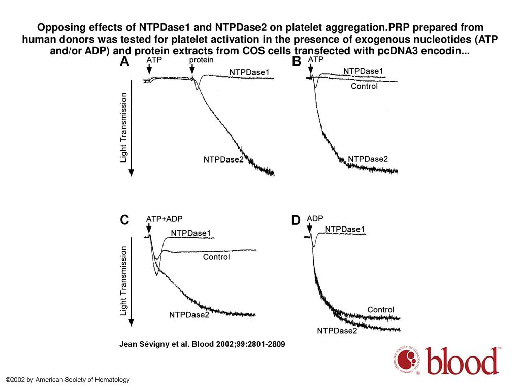 Opposing effects of NTPDase1 and NTPDase2 on platelet aggregation