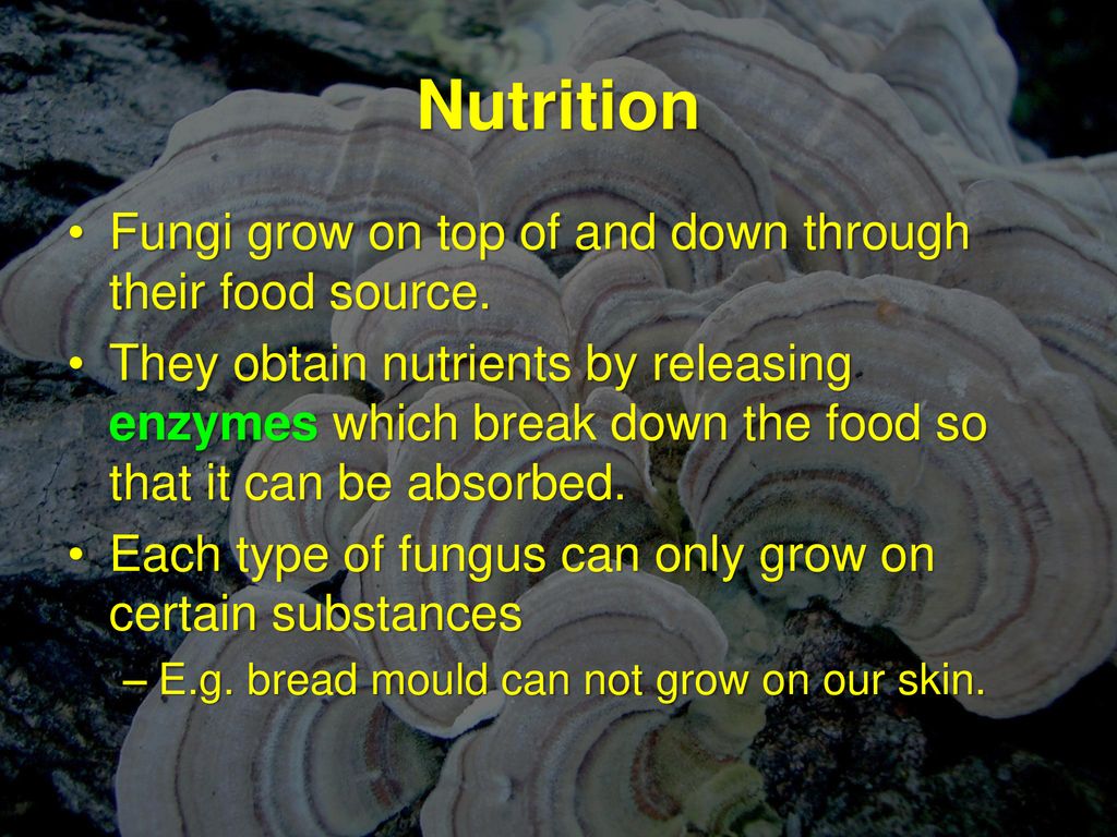 ppt download Biology Diagrams