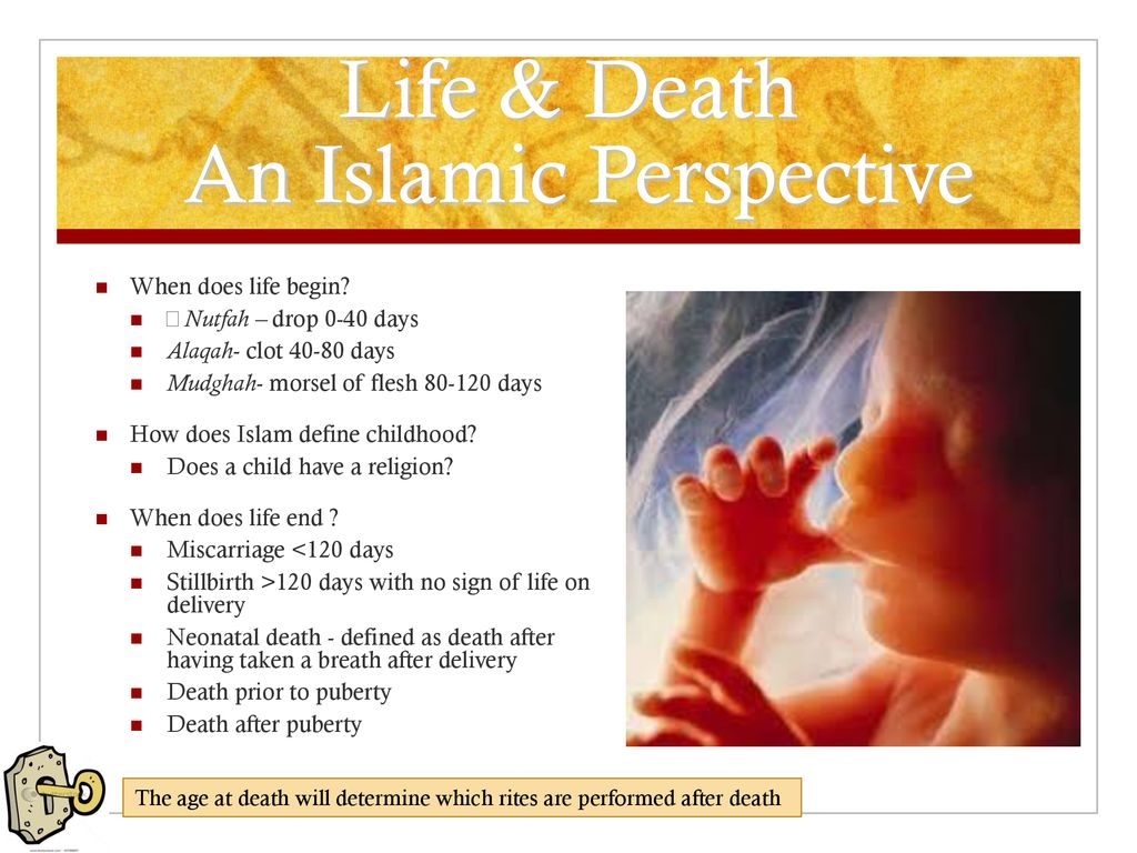 What Happens After Death in Islam, Blog