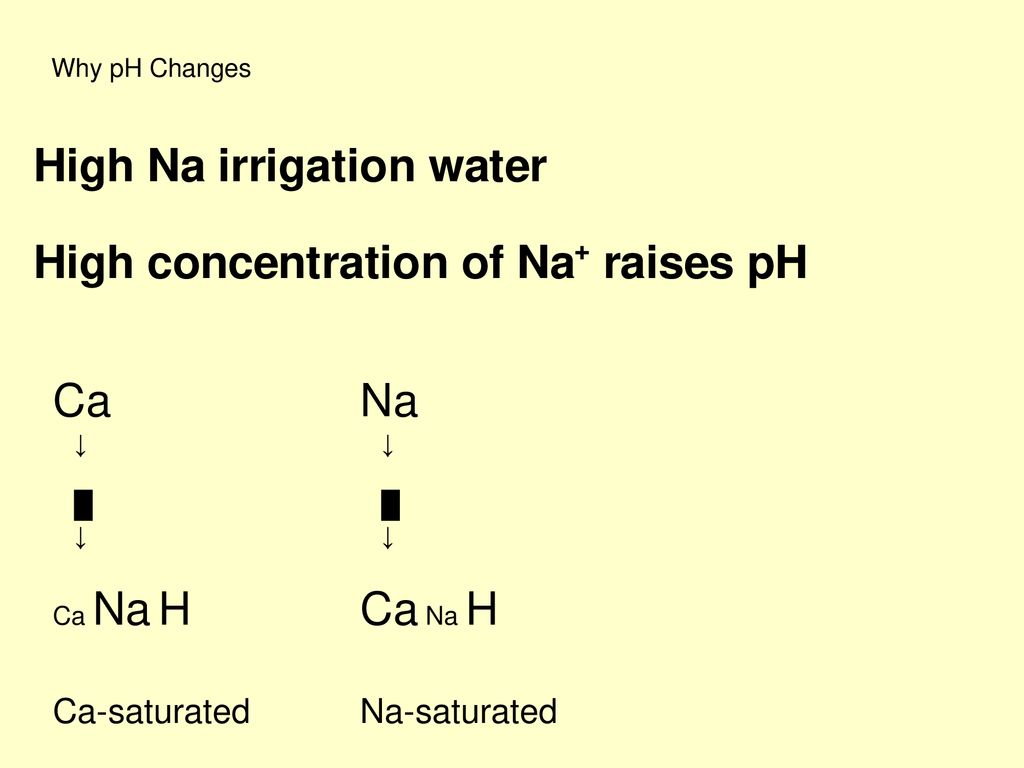 Soil Reaction Chapter Ppt Download