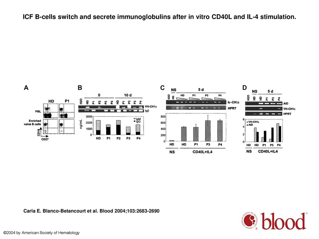 ICF B-cells switch and secrete immunoglobulins after in vitro CD40L and IL-4 stimulation.