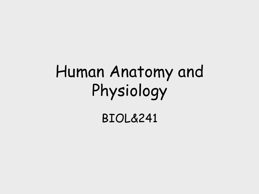 Human Anatomy and Physiology Biology Diagrams