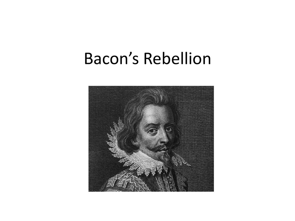 PPT - BACON'S REBELLION PowerPoint Presentation, free download