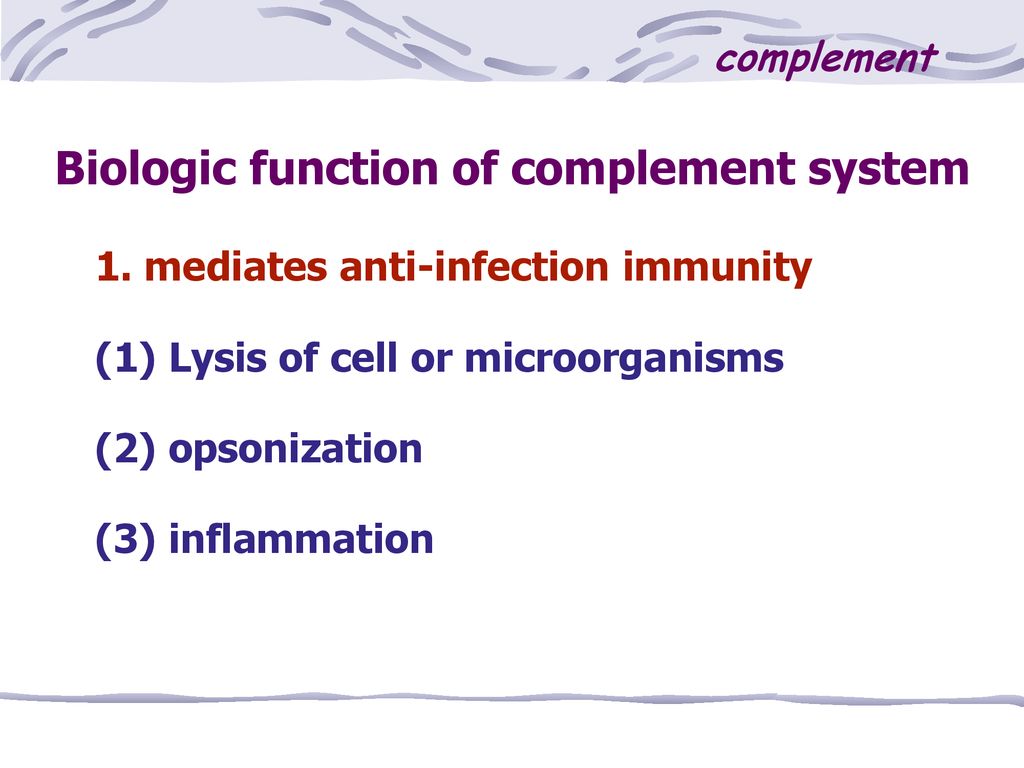Complement system Xiaojian Wang IMMUNOLOGY - ppt download