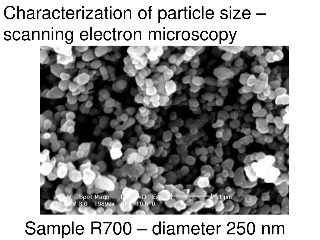 Characterization of particle size – scanning electron microscopy
