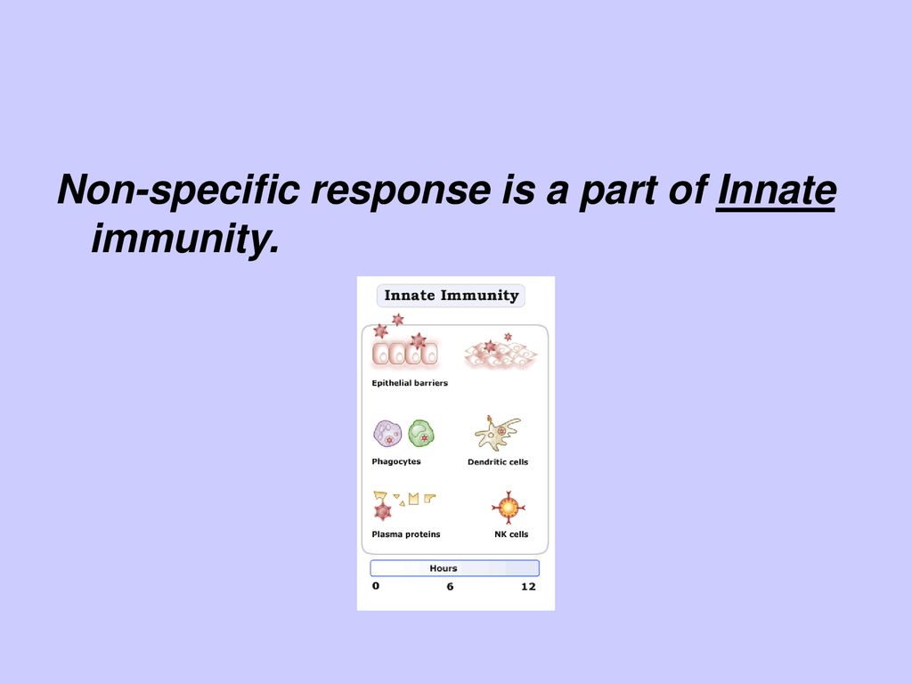 The Immune System Ppt Download   Non Specific Response Is A Part Of Innate Immunity. 