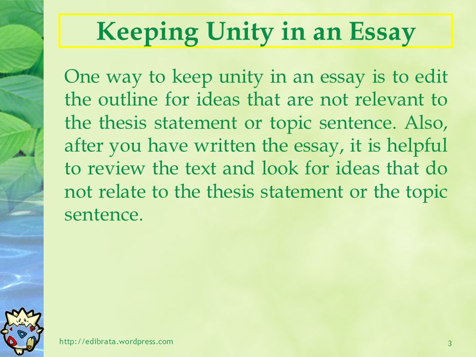 Keeping Unity in an Essay