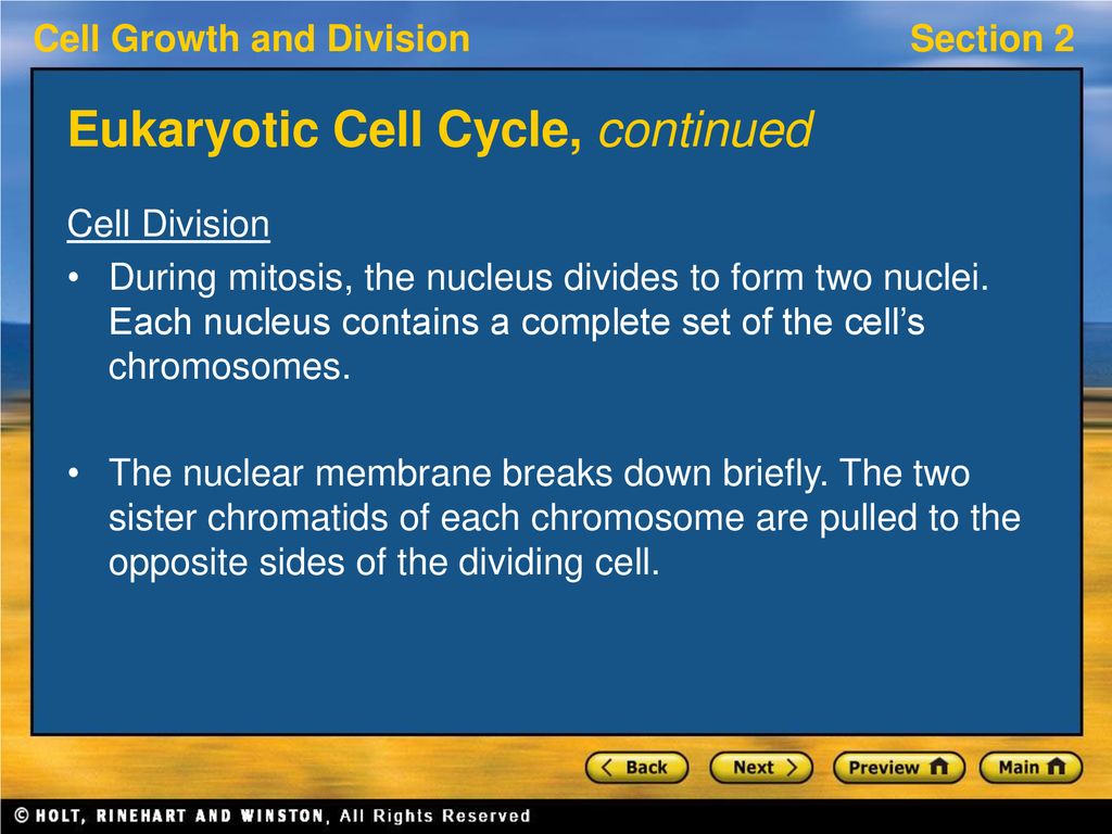 Section 2: Mitosis Preview Bellringer Key Ideas Eukaryotic Cell Cycle ... Biology Diagrams