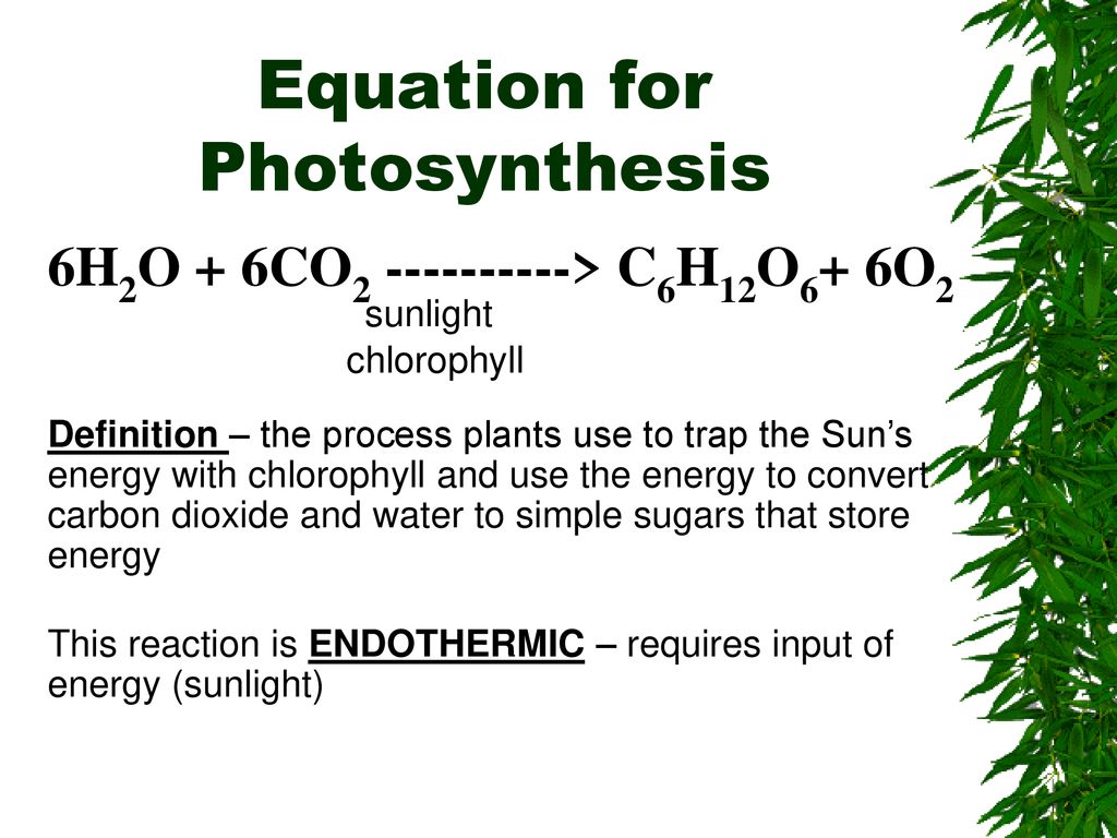 Photosynthesis Defintition: A molecular process where organisms create ...