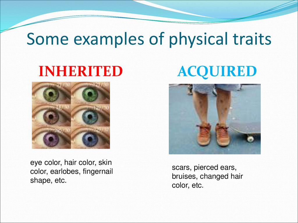 Examples Of Physical Characteristics In Humans 54 OFF examples-of-physical-characteristics-in-humans-54-off