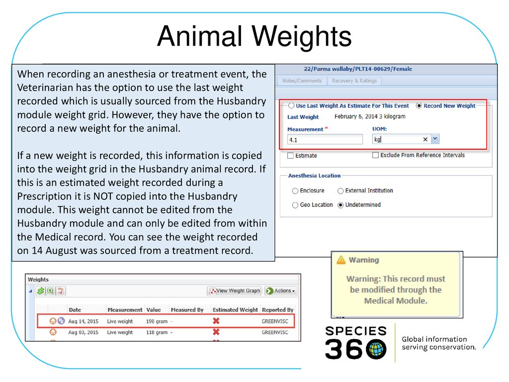 Animal Weights