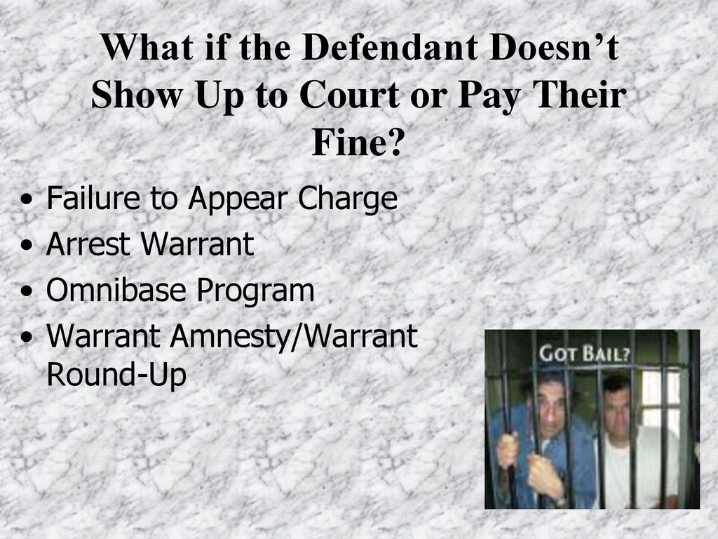 Presiding Municipal Court Judge ppt download