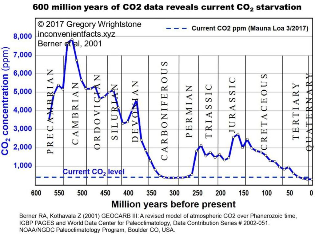 Our+current+geologic+period+%28Quaternary%29+has+the+lowest+CO2+levels+in+all+of+Earth%E2%80%99s+long+history..jpg