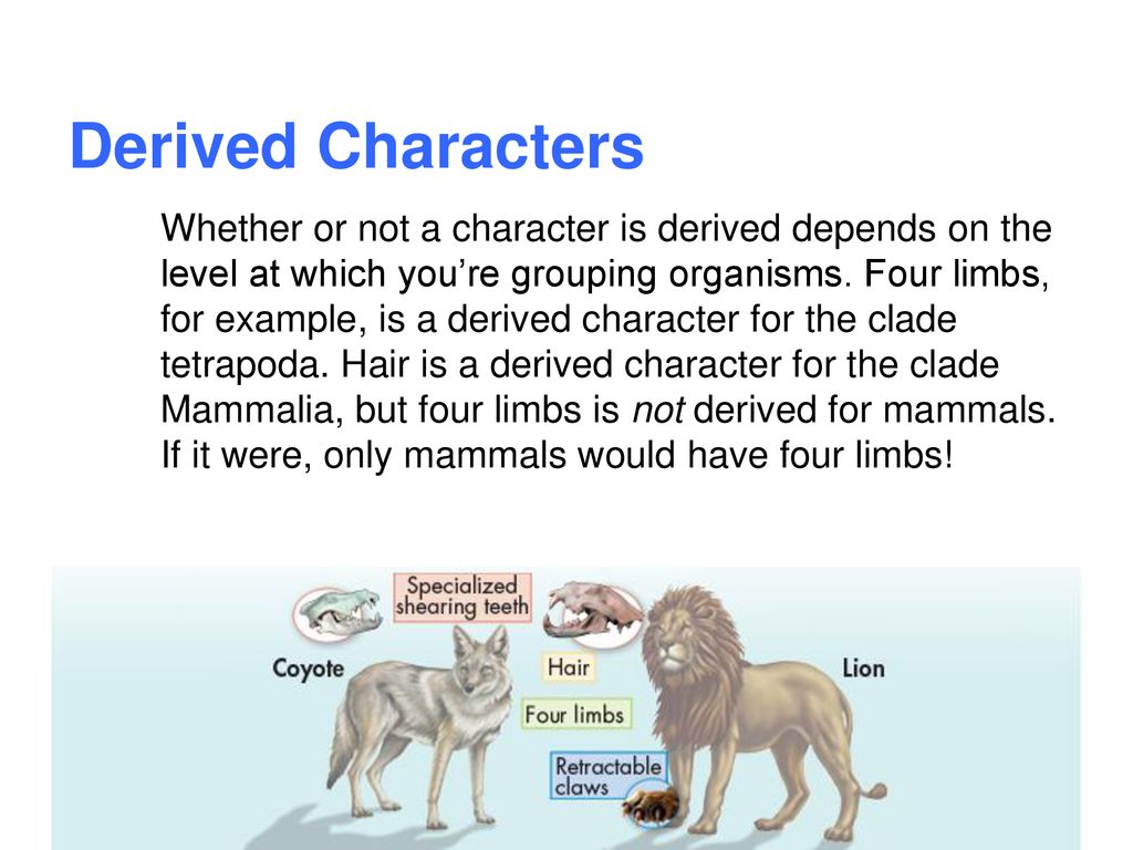18.2 Modern Evolutionary Classification - ppt download