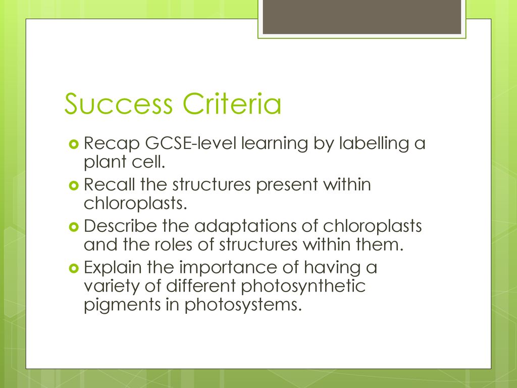 Photosynthesis Lesson 2 - ppt download