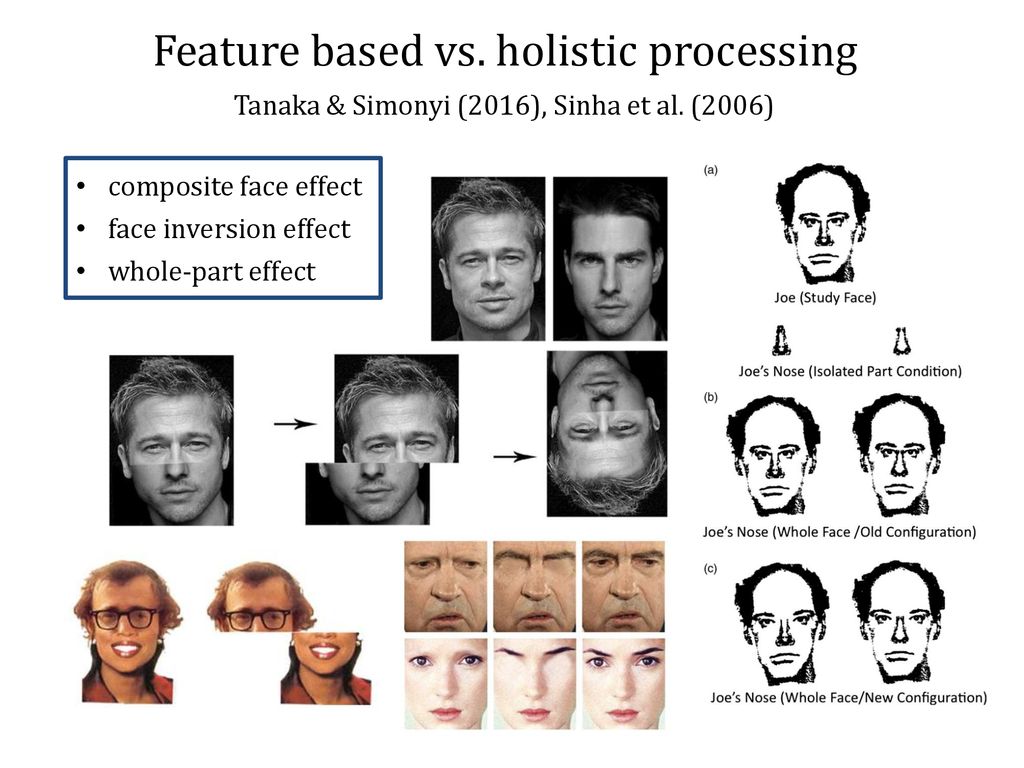 Feature based vs. holistic processing