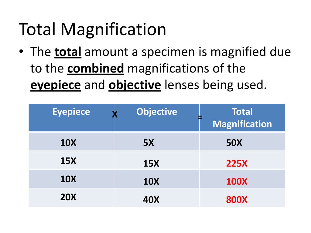 The microscope ppt download