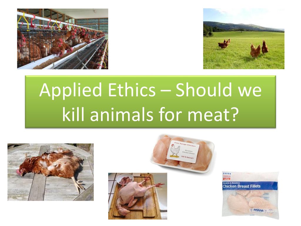 On Whiteboards: Do animals have any moral status (should they be considered when making moral decisions)? Whether you answered yes or no, say why. On what. - ppt download On Whiteboards: Do animals have any moral status (should they be considered when making moral decisions)? Whether you answered yes or no, say why. On what. - ppt download