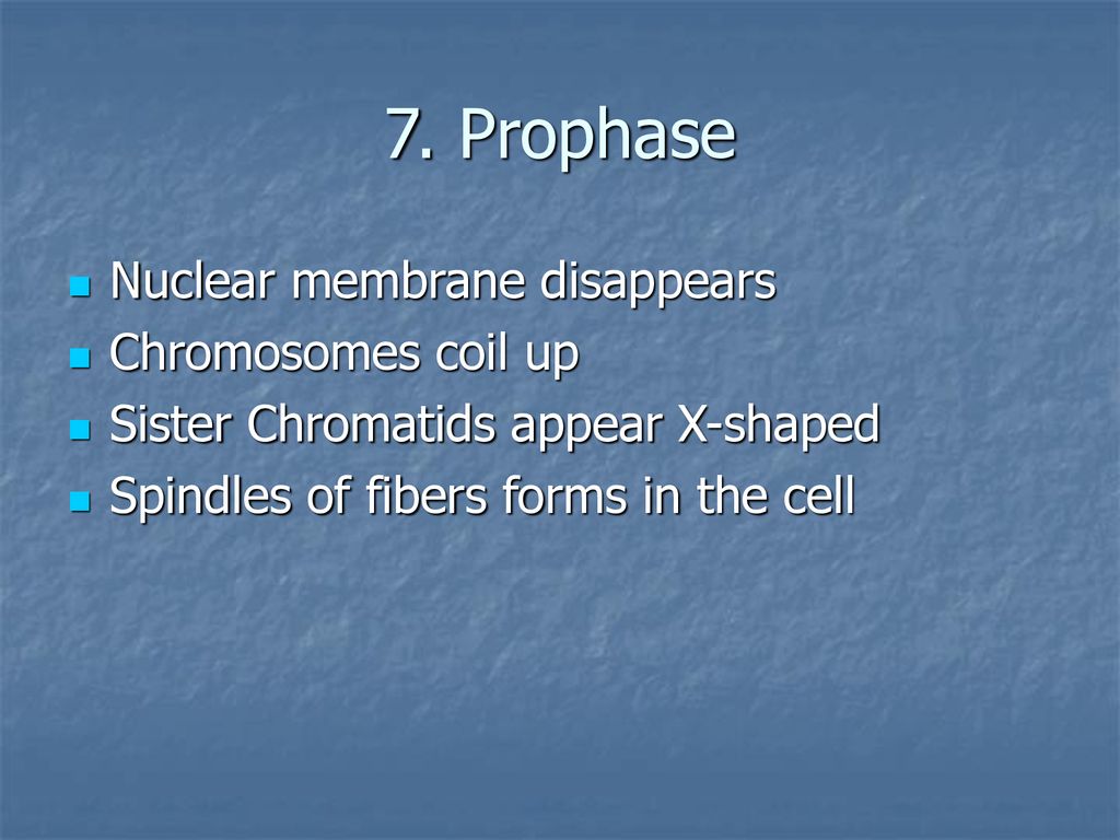 Genes and Mitosis. Biology Diagrams