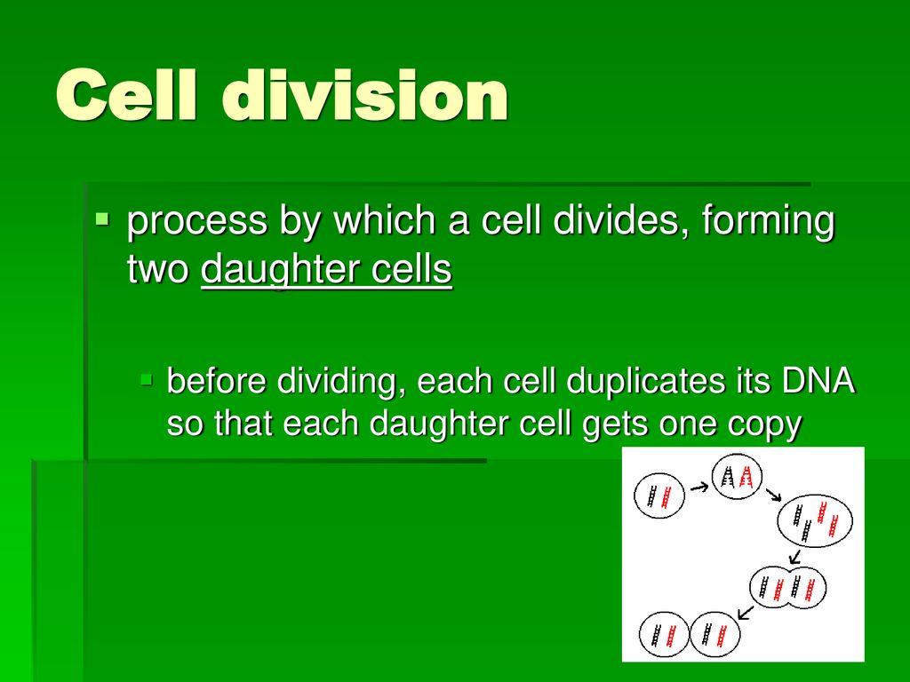 Chapter 10 Cell Growth & Division. Biology Diagrams