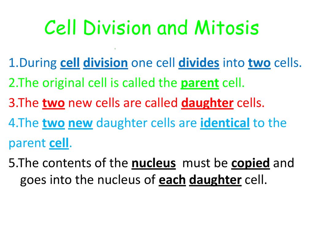 Cell Division and Mitosis - ppt download