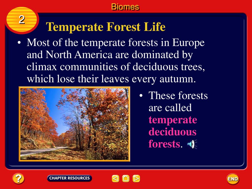 Chapter: Ecosystems Section 1: How Ecosystems Change Section 2: Biomes ...