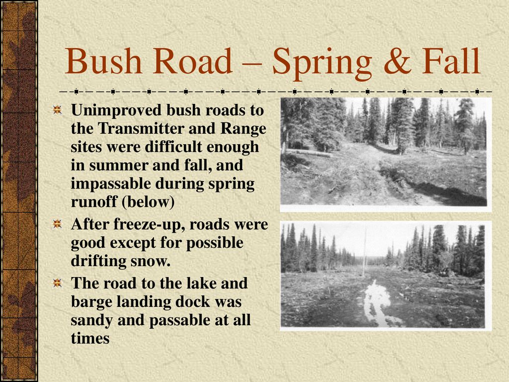 Bush Road – Spring & Fall