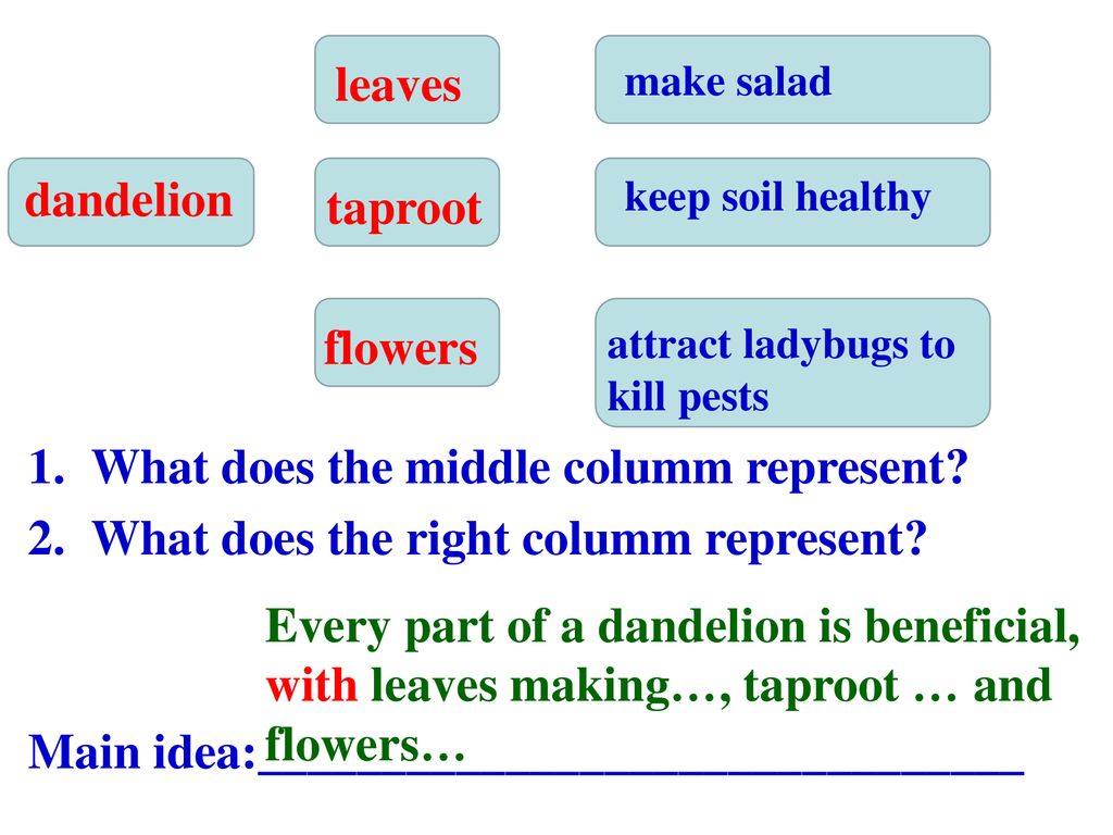 Summary writing dandelion ppt download