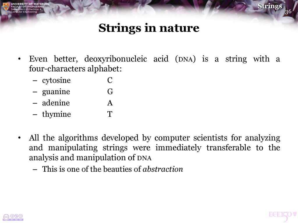 Strings. - ppt download