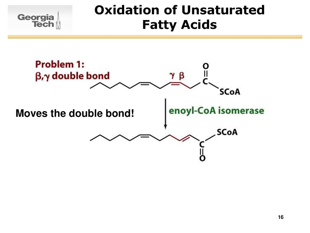 Oxidation of Unsaturated Fatty Acids