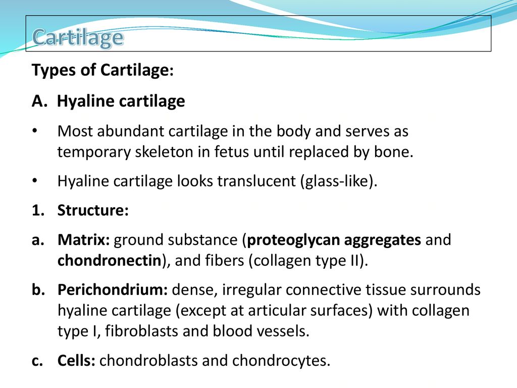 Topic 4 Cartilage and Bone Biology Diagrams