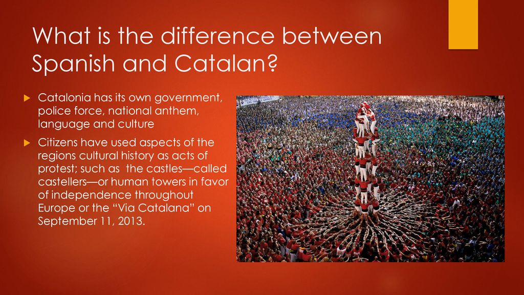Spanish vs Catalan - A Language Comparison