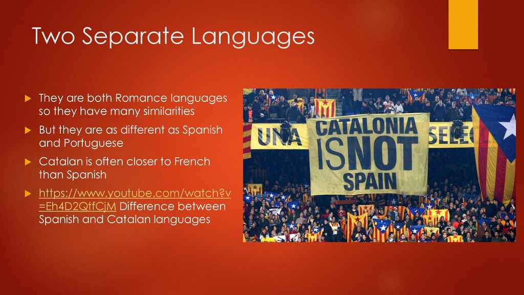 Catalan is a very based language apparently : r/2latinoforyou