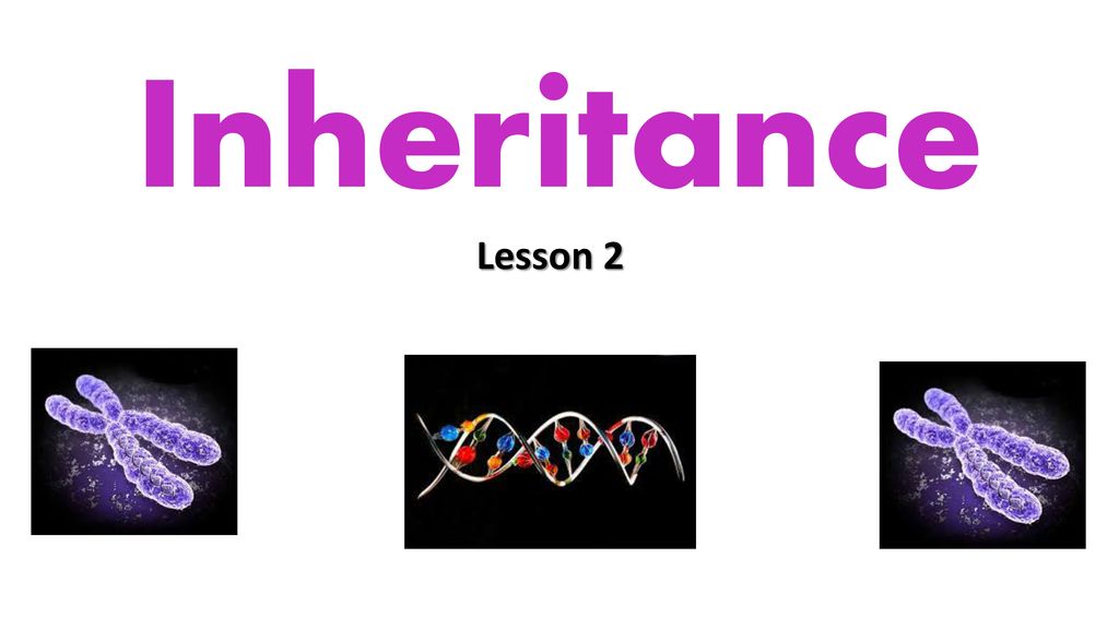 Lesson Starter How many chromosomes does almost all human cells have ...