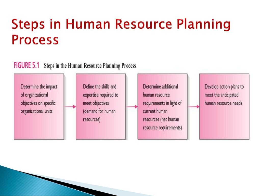 describe the human resource planning process